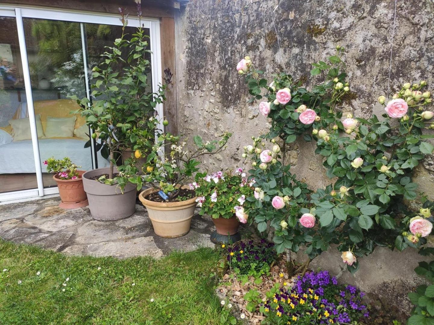 Le Relais De L'Ormeau - Charmant Gite Pour 4 Pers. Lussault-sur-Loire Exterior foto